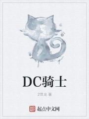 DC骑士游戏