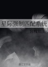 星际强制匹配系统多夫苏琳