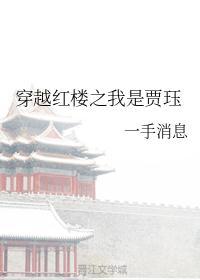 穿越红楼之我是贾赫