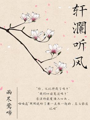 听风轩画家