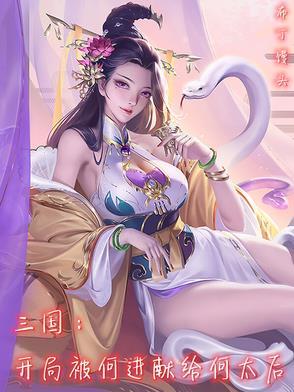 三国之何进长子