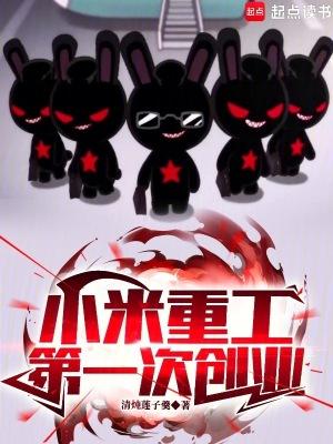 小米重工第一次创业免费阅读