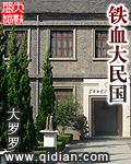铁血大民国 游戏民国