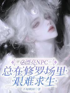 小漂亮npc美貌值爆表by小橙子笔趣阁