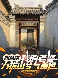 我的四合院电视剧