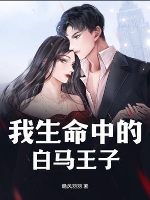 我的白马王子是什么意思