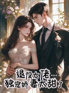 退伍大叔小小妻无弹窗