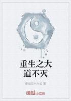 重生之大道圣人