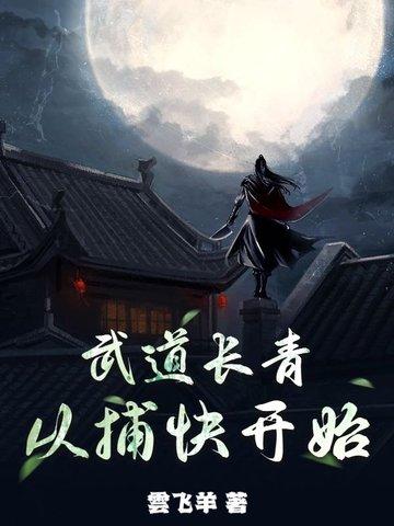 武道长篇