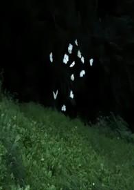 蔚然汽车suv价格表