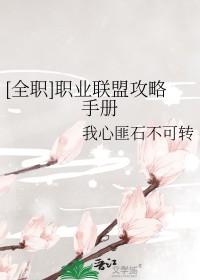 全职业t2