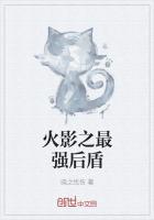 火影之最强冰盾