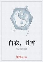 白衣胜雪公子如玉