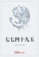 七七四十九口诀可以写几道算式