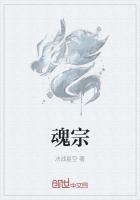 王林跟炼魂宗