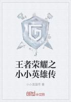 小小英雄传2安装