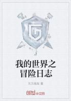 我的世界探险日记