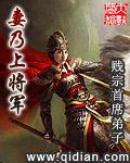 妻乃上将军类型的