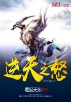 逆天之巅