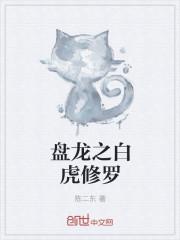 盘龙主角修炼的功法