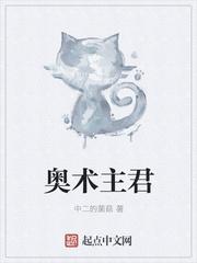 奥术之主txt平板