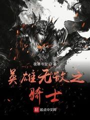 英雄无敌之骑士 第351章