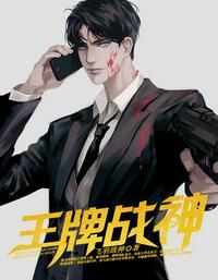 王牌战神项飞羽04