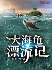 大海龟漂流记主要内容