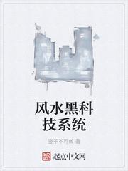 风水黑科技系统竖子不可教