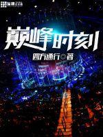 尖峰时刻是什么意思