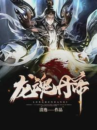 龙魂丹帝免费全本