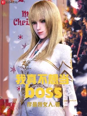 我真不想当BOSS继续阅读