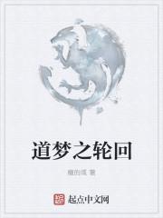 轮回与梦之旅人