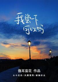 我尝一下可以吗盘