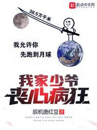 我家少爷又帅又坏